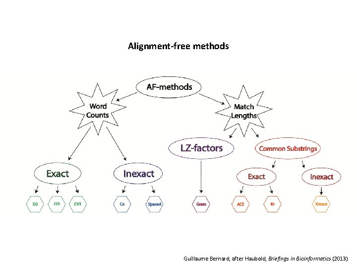 Alignment-free methods Guillaume Bernard, after Haubold, Briefings in Bioinformatics (2013) 
