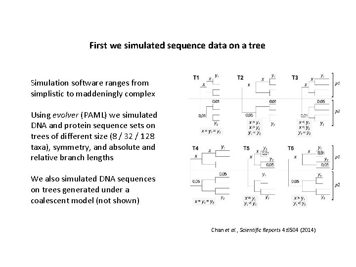 First we simulated sequence data on a tree Simulation software ranges from simplistic to