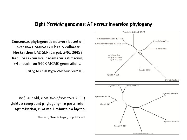 Eight Yersinia genomes: AF versus inversion phylogeny Consensus phylogenetic network based on inversions. Mauve