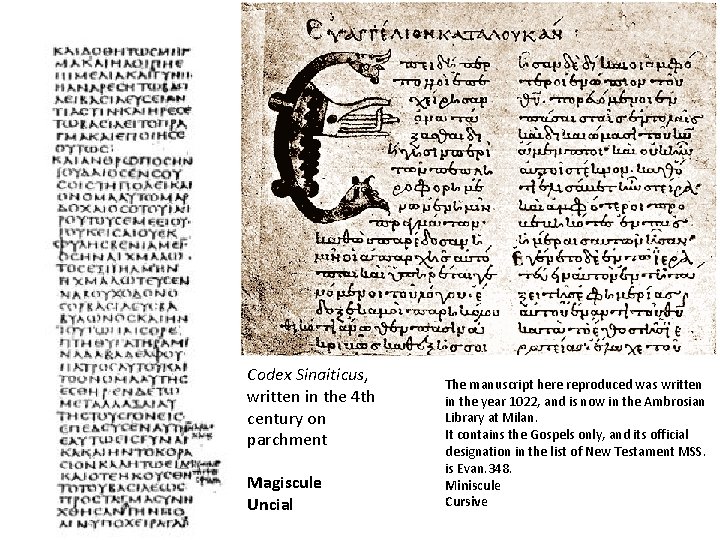Codex Sinaiticus, written in the 4 th century on parchment Magiscule Uncial The manuscript