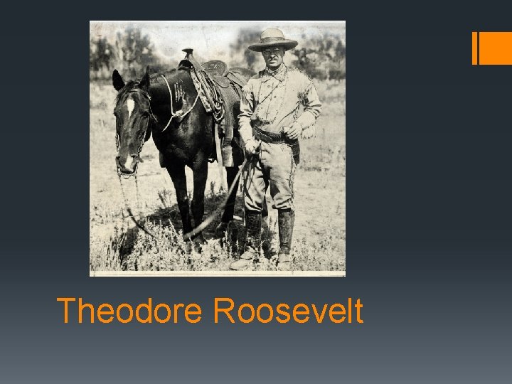 Theodore Roosevelt 