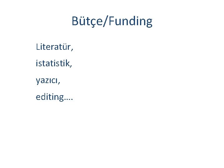 Bütçe/Funding Literatür, istatistik, yazıcı, editing…. 