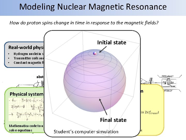 Modeling Nuclear Magnetic Resonance How do proton spins change in time in response to