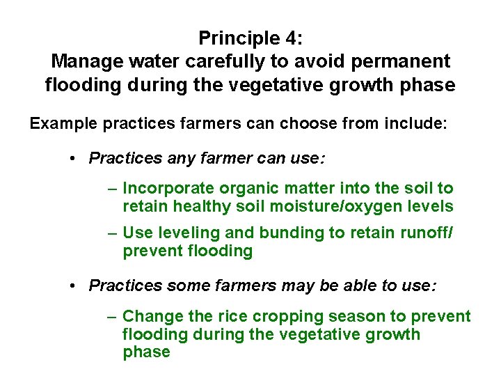 Principle 4: Manage water carefully to avoid permanent flooding during the vegetative growth phase