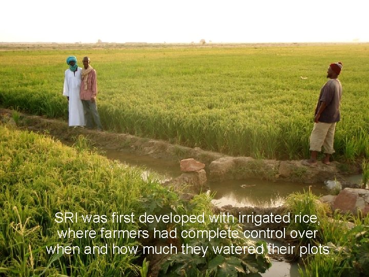 SRI was first developed with irrigated rice, where farmers had complete control over when