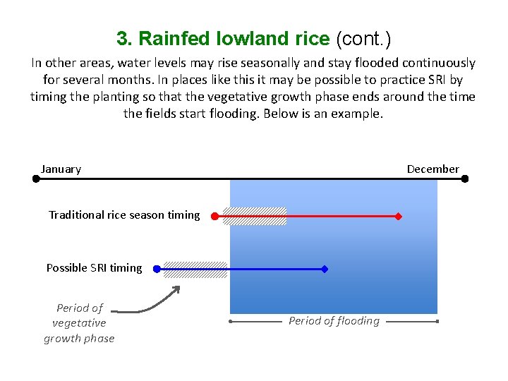 3. Rainfed lowland rice (cont. ) In other areas, water levels may rise seasonally