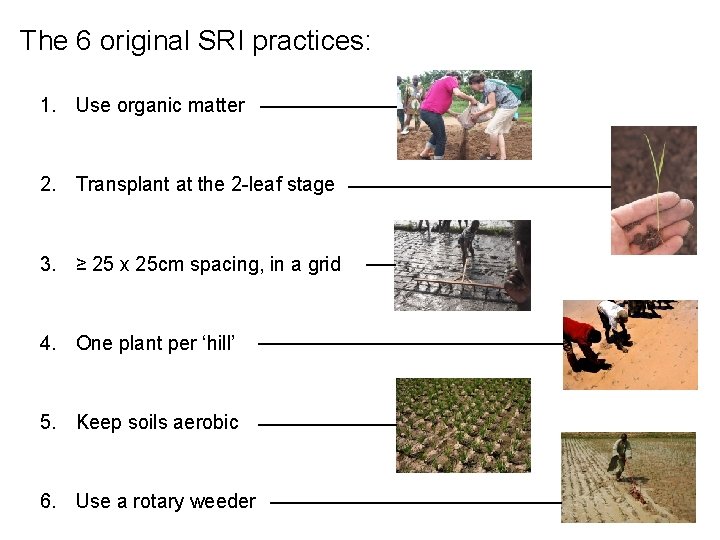 The 6 original SRI practices: 1. Use organic matter 2. Transplant at the 2