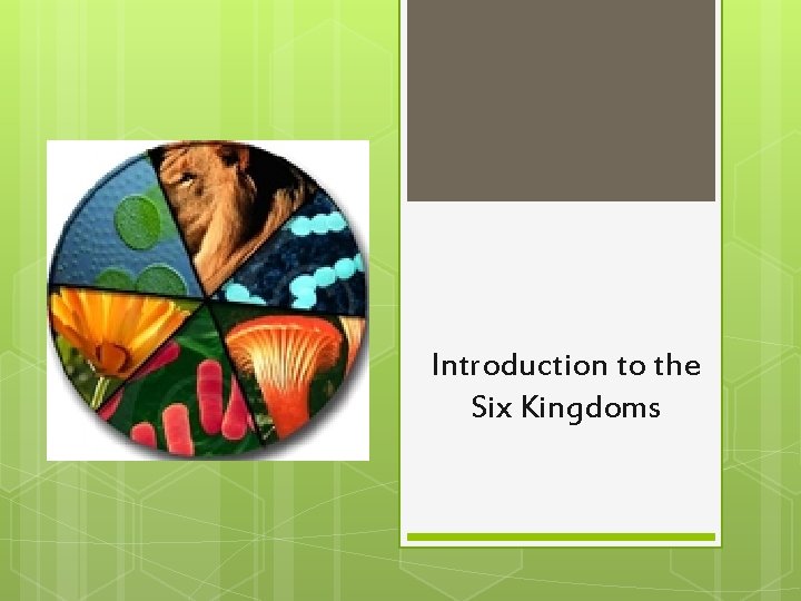 Introduction to the Six Kingdoms 