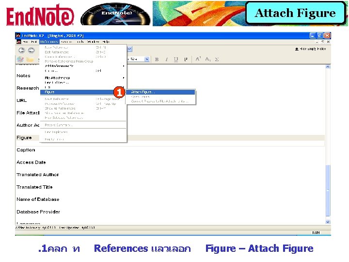 Attach Figure 1 . 1คลก ท References แลวเลอก Figure – Attach Figure 