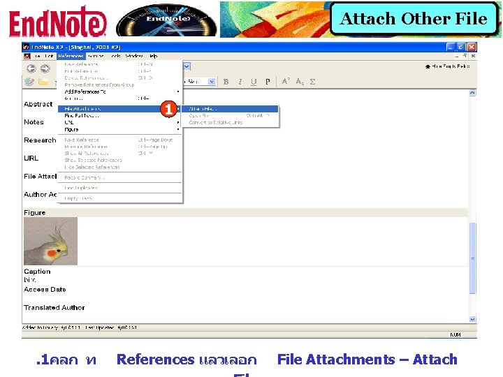 Attach Other File 1 . 1คลก ท References แลวเลอก File Attachments – Attach 