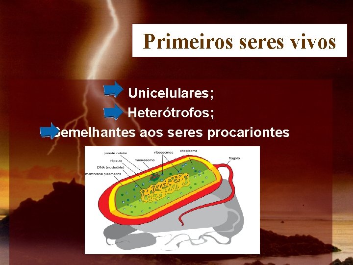 Primeiros seres vivos Unicelulares; Heterótrofos; Semelhantes aos seres procariontes 