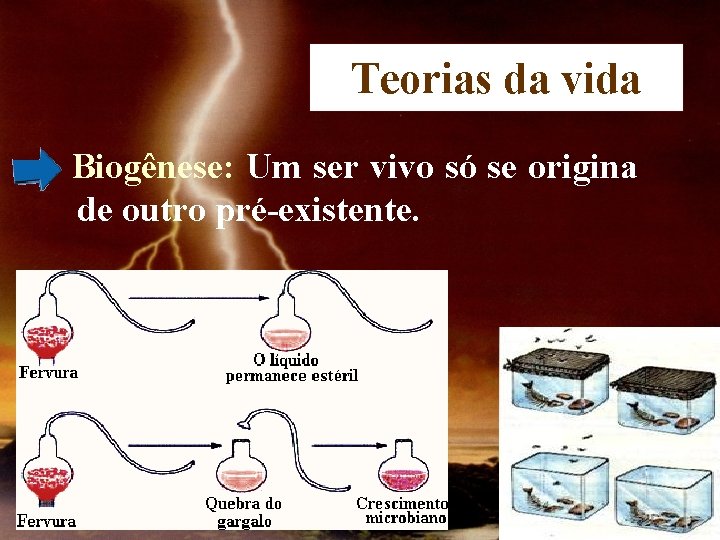 Teorias da vida Biogênese: Um ser vivo só se origina de outro pré-existente. 