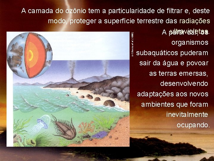 in Oliveira et al. (1999) A camada do ozônio tem a particularidade de filtrar