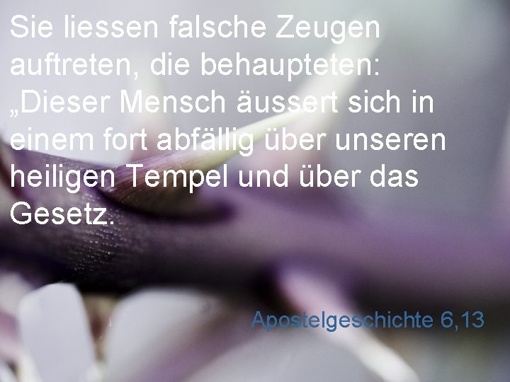 Sie liessen falsche Zeugen auftreten, die behaupteten: „Dieser Mensch äussert sich in einem fort