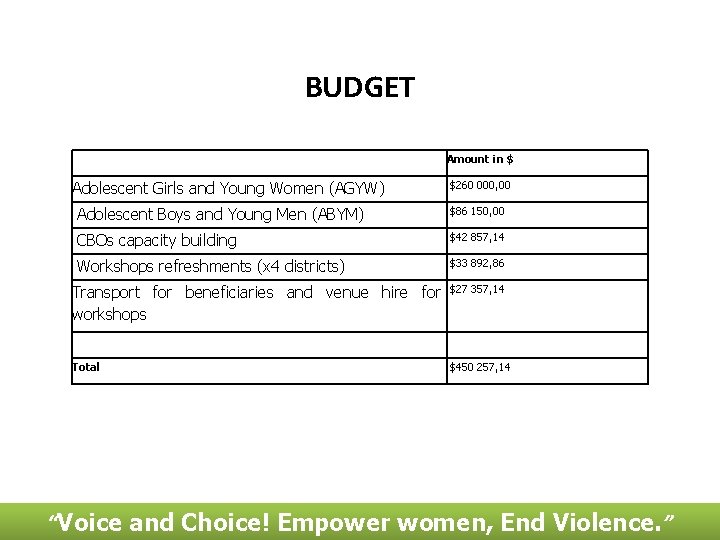 BUDGET Amount in $ Adolescent Girls and Young Women (AGYW) $260 000, 00 Adolescent