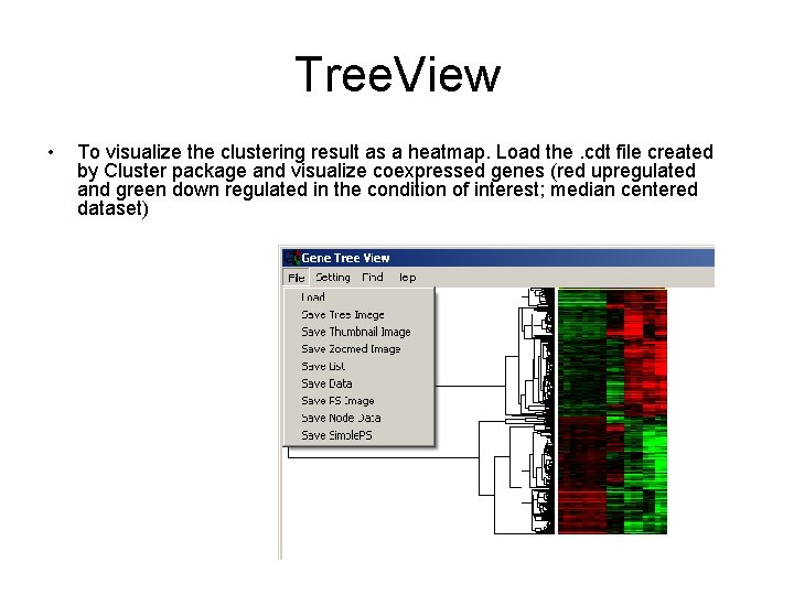 Tree. View • To visualize the clustering result as a heatmap. Load the. cdt Tree. View • To visualize the clustering result as a heatmap. Load the. cdt