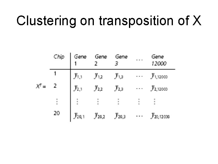Clustering on transposition of X Clustering on transposition of X