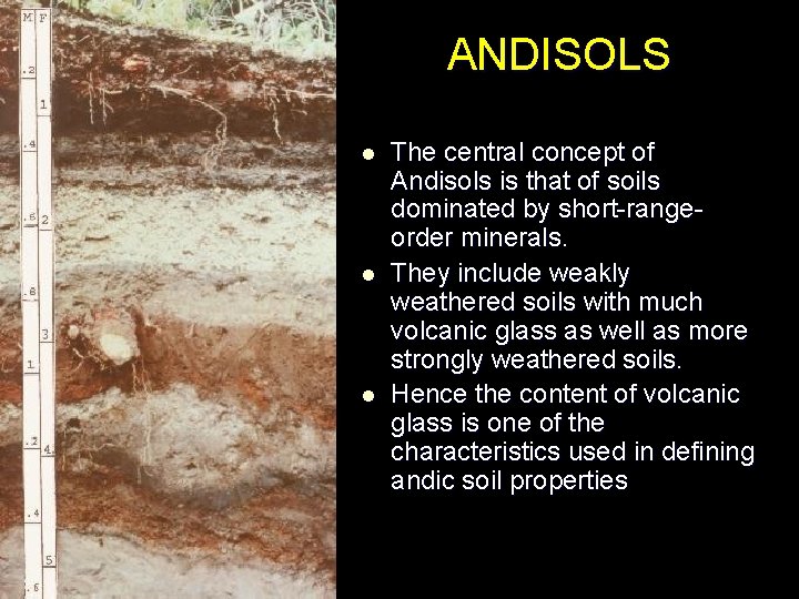 ANDISOLS l l l The central concept of Andisols is that of soils dominated