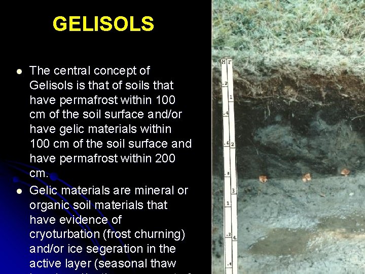 GELISOLS l l The central concept of Gelisols is that of soils that have