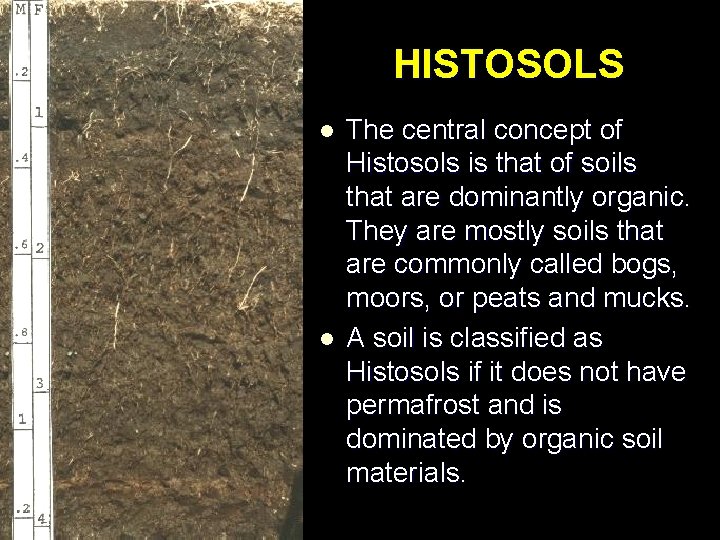 HISTOSOLS l l The central concept of Histosols is that of soils that are