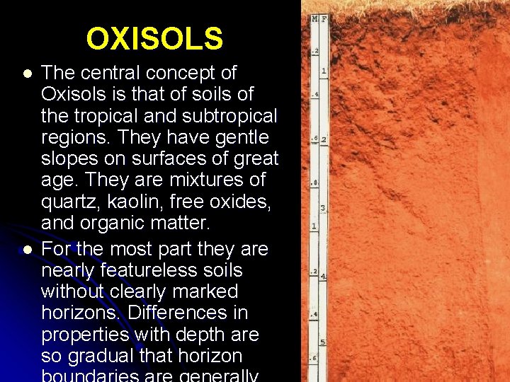 OXISOLS l l The central concept of Oxisols is that of soils of the