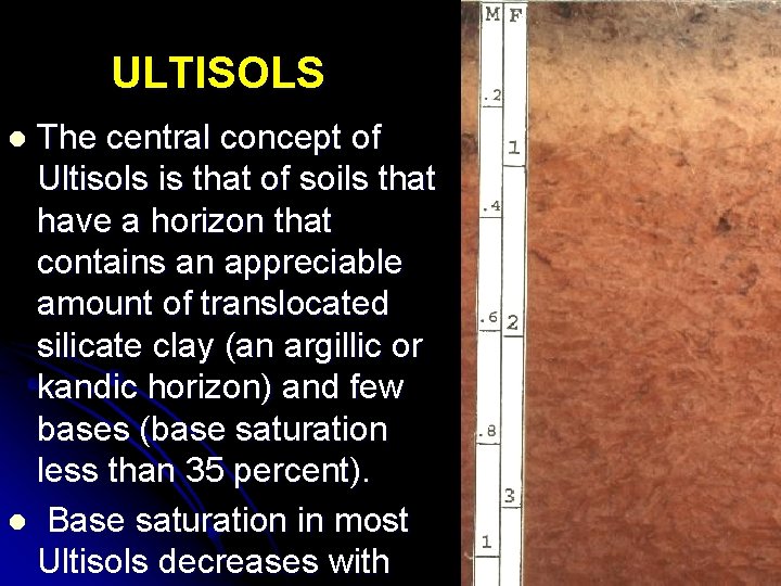 ULTISOLS The central concept of Ultisols is that of soils that have a horizon