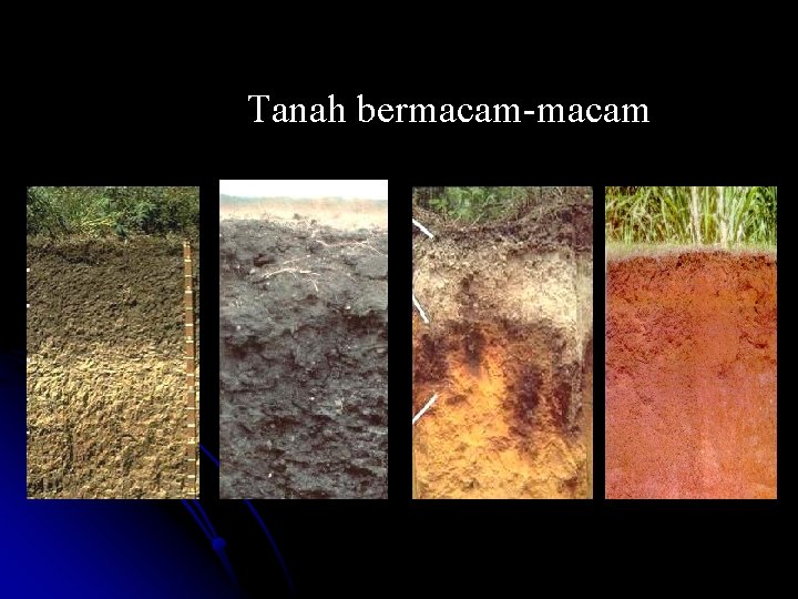 Tanah bermacam-macam 