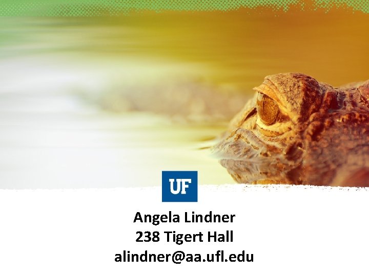 Angela Lindner 238 Tigert Hall alindner@aa. ufl. edu 