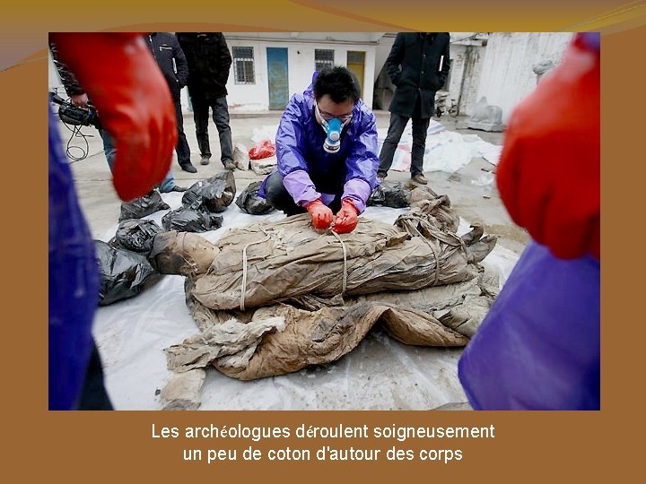 Les archéologues déroulent soigneusement un peu de coton d'autour des corps 