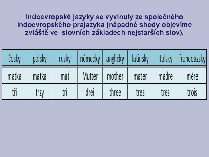 Indoevropské jazyky se vyvinuly ze společného indoevropského prajazyka (nápadné shody objevíme zvláště ve slovních