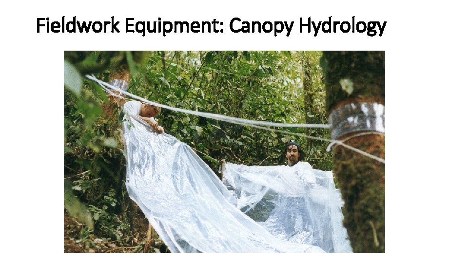 Fieldwork Equipment: Canopy Hydrology 