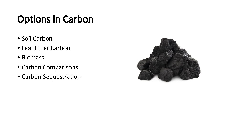 Options in Carbon • Soil Carbon • Leaf Litter Carbon • Biomass • Carbon