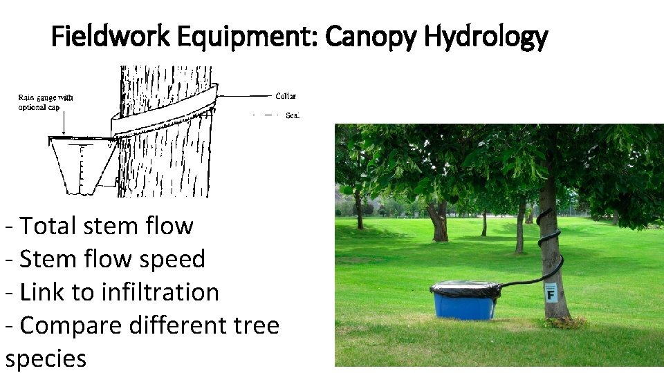 Fieldwork Equipment: Canopy Hydrology - Total stem flow - Stem flow speed - Link