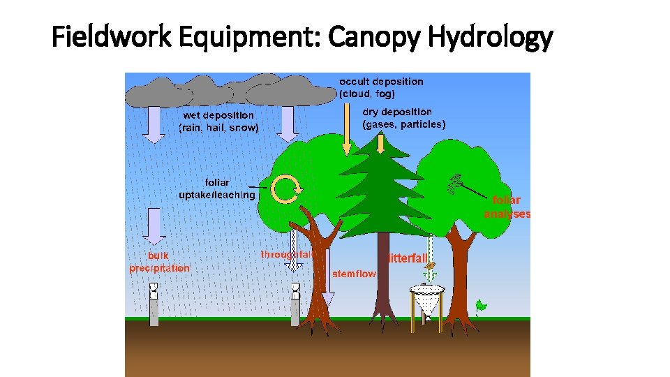 Fieldwork Equipment: Canopy Hydrology 