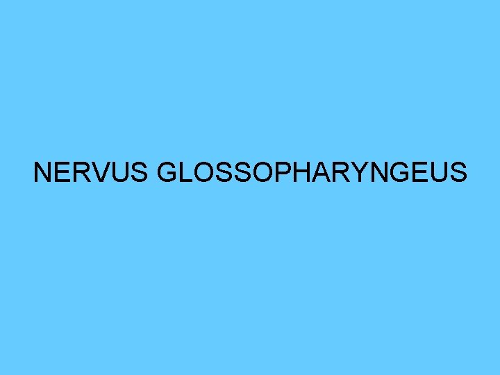 NERVUS GLOSSOPHARYNGEUS 