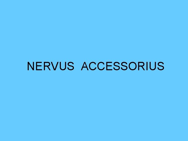 NERVUS ACCESSORIUS 
