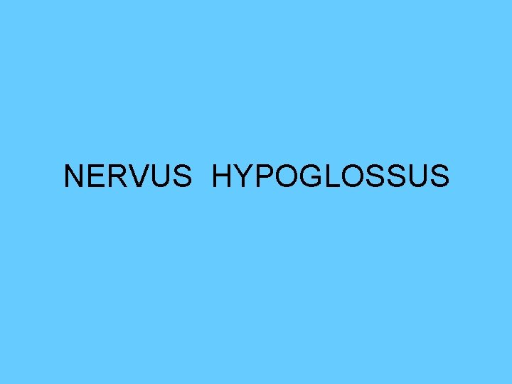 NERVUS HYPOGLOSSUS 