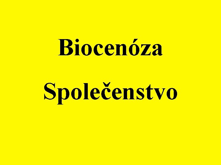 Biocenóza Společenstvo 