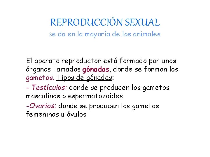 REPRODUCCIÓN SEXUAL Se da en la mayoría de los animales El aparato reproductor está