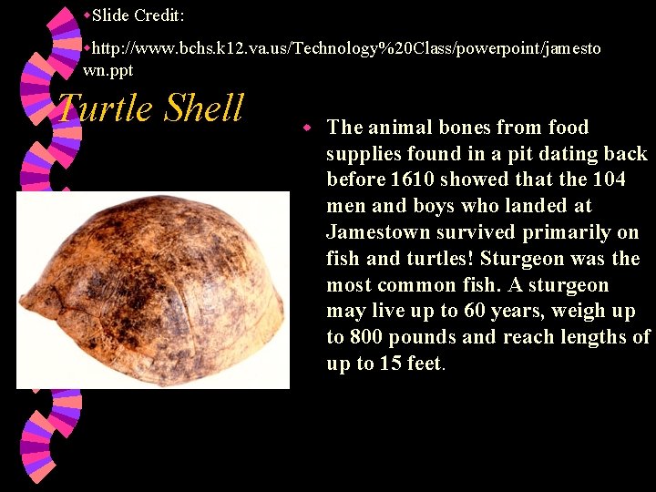 w. Slide Credit: whttp: //www. bchs. k 12. va. us/Technology%20 Class/powerpoint/jamesto wn. ppt Turtle