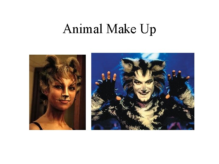 Animal Make Up 