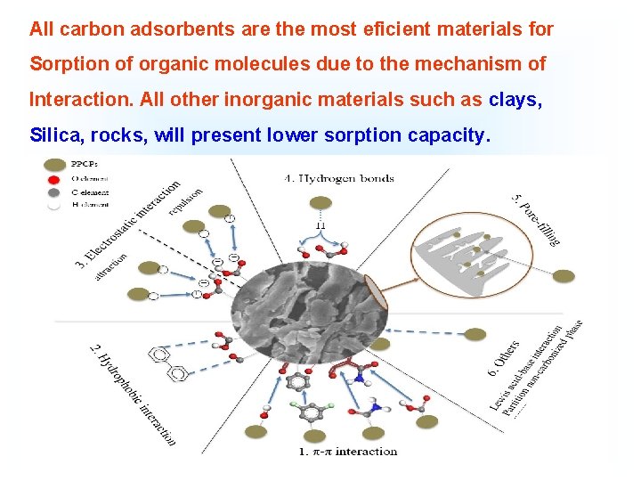 All carbon adsorbents are the most eficient materials for Sorption of organic molecules due