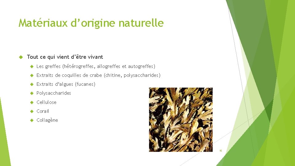 Matériaux d’origine naturelle Tout ce qui vient d’être vivant Les greffes (hétérogreffes, allogreffes et