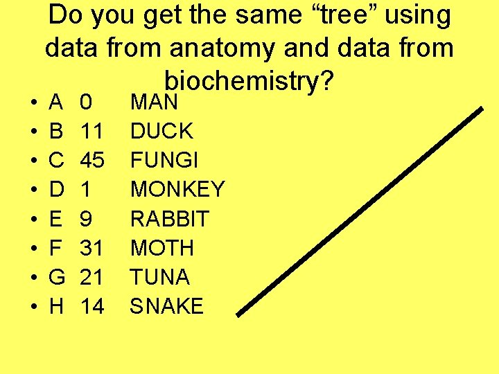  • • Do you get the same “tree” using data from anatomy and