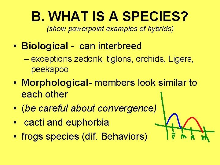 B. WHAT IS A SPECIES? (show powerpoint examples of hybrids) • Biological - can