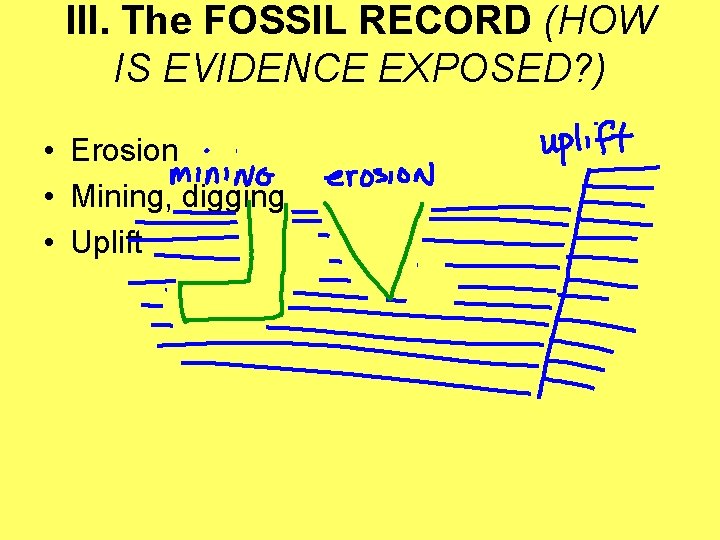 III. The FOSSIL RECORD (HOW IS EVIDENCE EXPOSED? ) • Erosion • Mining, digging