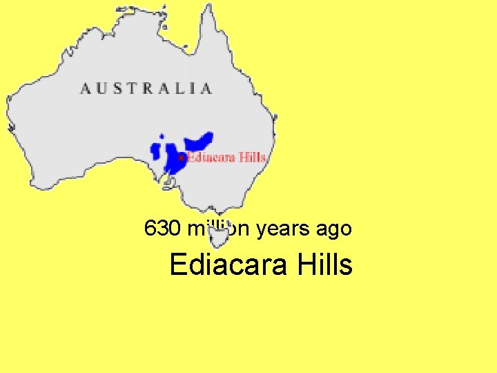 630 million years ago Ediacara Hills 