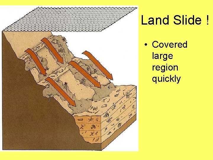 Land Slide ! • Covered large region quickly 