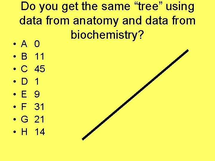  • • Do you get the same “tree” using data from anatomy and