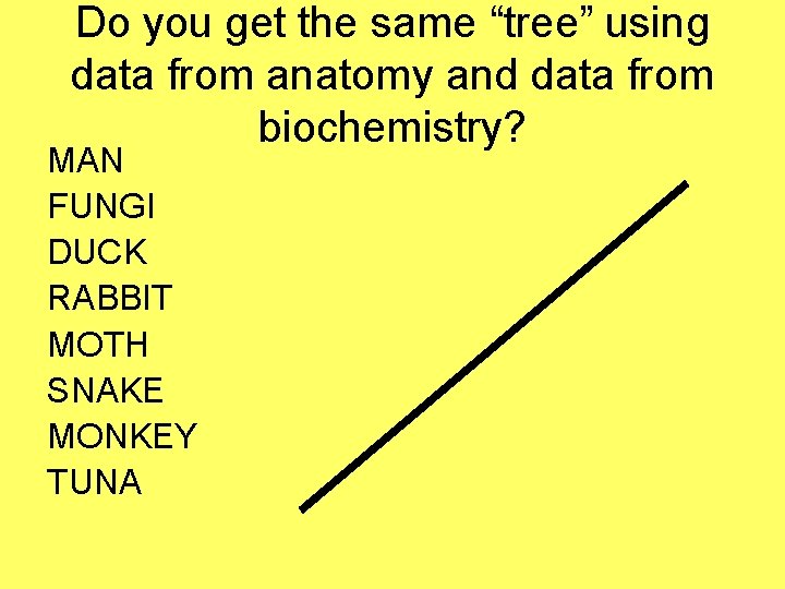 Do you get the same “tree” using data from anatomy and data from biochemistry?